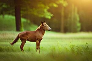 une cheval est permanent dans le herbe dans le Soleil. généré par ai photo