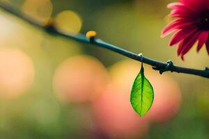 photo fond d'écran le ciel, nature, le soleil, le fleur, le vert, le feuille,. généré par ai