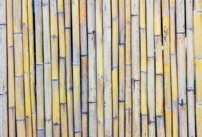 gros plan de clôture en bambou photo