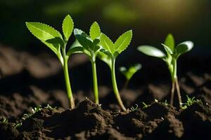 Jeune les plantes pousse de le sol. généré par ai photo