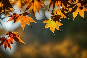 l'automne feuilles sont montré dans le lumière du soleil. généré par ai photo
