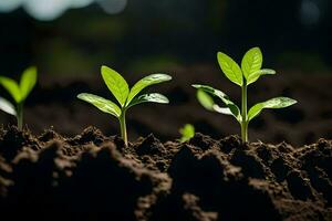 une groupe de Jeune les plantes croissance dans le saleté. généré par ai photo