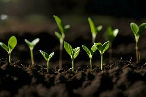 une groupe de Jeune les plantes croissance dans le saleté. généré par ai photo