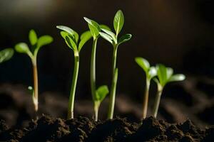 Jeune les plantes pousse de le sol. généré par ai photo