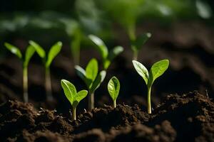 une groupe de Jeune les plantes croissance dans le saleté. généré par ai photo