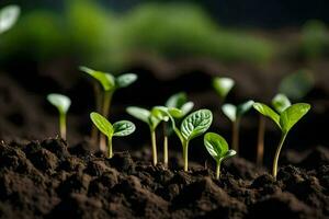 Jeune les plantes pousse de le sol. généré par ai photo