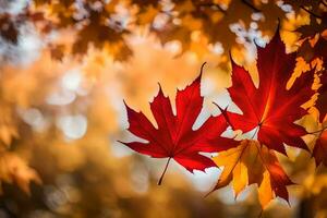 l'automne feuilles sont montré dans cette photo. généré par ai photo