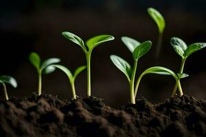 une groupe de Jeune les plantes pousse de le sol. généré par ai photo