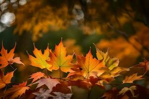 l'automne feuilles, l'automne, l'automne feuilles, l'automne feuilles, l'automne feuilles, l'automne feuilles, l'automne. généré par ai photo