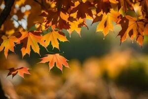 l'automne feuilles sont montré dans le lumière du soleil. généré par ai photo