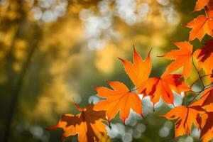 l'automne feuilles sur une arbre dans le lumière du soleil. généré par ai photo