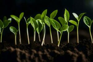 une groupe de Jeune les plantes croissance dans le sol. généré par ai photo