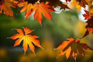 l'automne feuilles sont vu dans le air. généré par ai photo