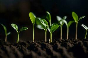 une groupe de Jeune les plantes croissance dans le sol. généré par ai photo