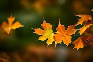 l'automne feuilles sur une arbre branche. généré par ai photo