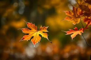 l'automne feuilles, l'automne, l'automne feuilles, l'automne feuilles, l'automne feuilles, l'automne feuilles, l'automne. généré par ai photo