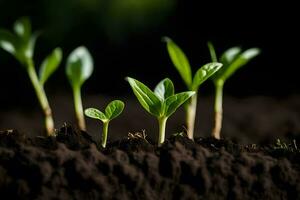 Jeune les plantes pousse de le sol. généré par ai photo