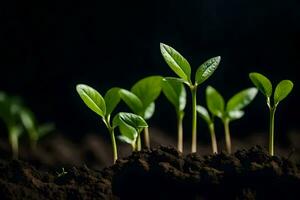 Jeune les plantes pousse de le sol. généré par ai photo