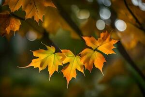 l'automne feuilles sur une arbre. généré par ai photo