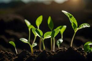 Jeune les plantes pousse de le sol. généré par ai photo