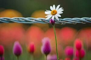 une Célibataire fleur est séance sur une barbelé câble clôture. généré par ai photo
