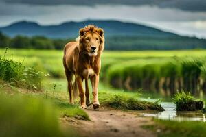 une Lion en marchant le long de une chemin près une rivière. généré par ai photo