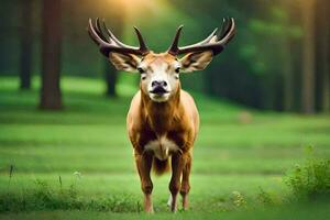 une cerf avec grand bois est permanent dans le herbe. généré par ai photo