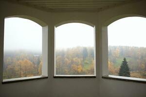 l'automne forêt et brouillard. photo