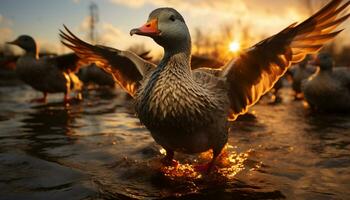 la nature beauté réfléchi dans le tranquille étang à le coucher du soleil généré par ai photo