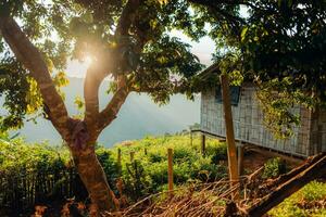 en bois maison dans le campagne sur le Matin colline photo