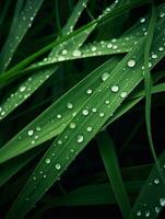 ai génératif herbe les plantes gouttes de pluie rosée photo