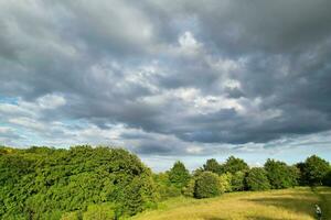 haute angle proche en haut vue de arbre et branches photo