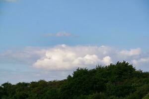 haute angle proche en haut vue de arbre et branches photo