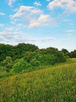 magnifique faible angle vue de Britanique paysage et campagne photo