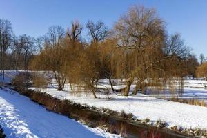 le plus grand parc de prague stromovka en hiver neigeux photo