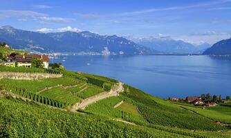 lavaux région, vaudois, Suisse photo