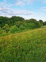 magnifique faible angle vue de Britanique paysage et campagne photo