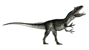 allosaurus dinosaure rugissement - 3d rendre photo