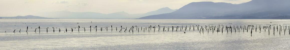 Lac de neuchâtel panorama, Suisse photo