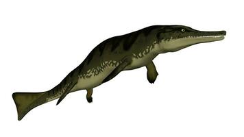 métriorhynchus préhistorique poisson - 3d rendre photo