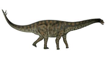 spinophorosaure dinosaure en marchant - 3d rendre photo