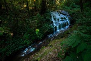 cascade dans la forêt, fond d'écran photo