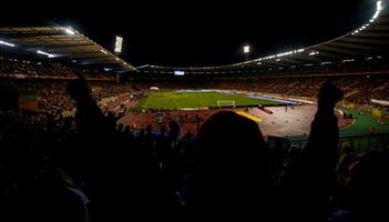 les fans de football soutiennent leur équipe sportive préférée photo