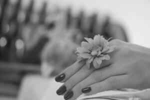 doigts de femme avec manucure française photo