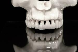 plus haut Humain mâchoire avec une réflexion sur le verre anatomie modèle solated sur bleu Contexte. en bonne santé dents, dentaire se soucier et orthodontique médical concept. photo