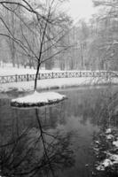 tôt le matin lors d'une belle journée d'hiver photo