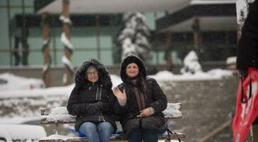 portrait, de, deux, mûr femme, séance, dans parc, à, jour hiver photo