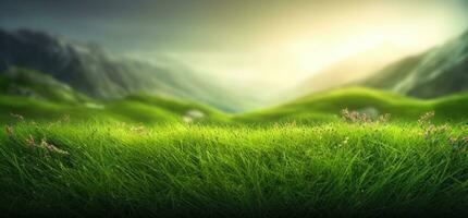 luxuriant vert herbe sur Prairie dans Matin lumière, printemps été en plein air fermer, copie espace, large format. une magnifique artistique représentation de le pureté et fraîcheur de la nature. ai généré photo