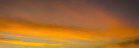 le soleil se lève et se couche le matin et le soir et les arbres sont ombragés de noir - ciel orange et nuages. chaleureux, romantique et magnifiquement beau, il a l'air chaleureux et voyageur. photo