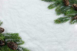 Noël sapin arbre branches plat allonger avec pin cônes sur neige Contexte. Créatif composition avec frontière. Haut voir. copie espace. photo
